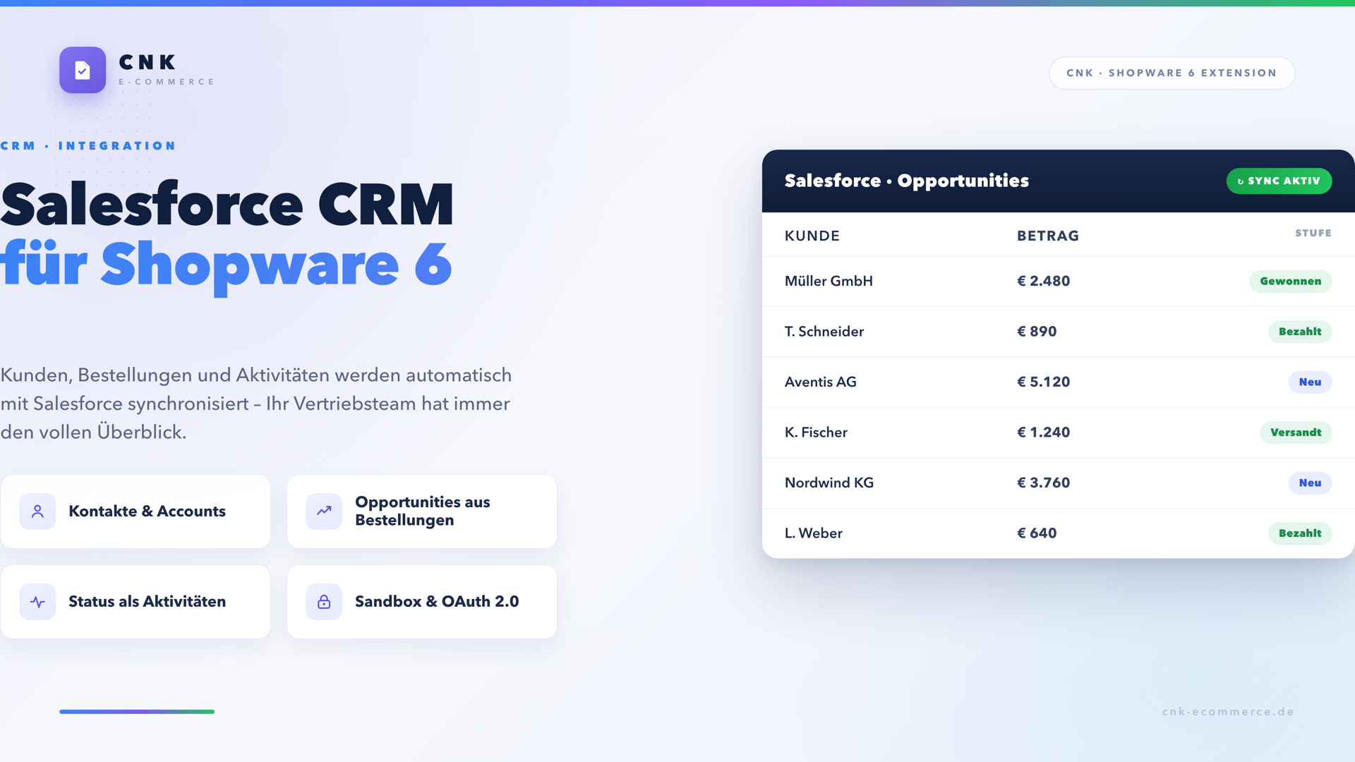 Salesforce CRM Connector for Shopware 6